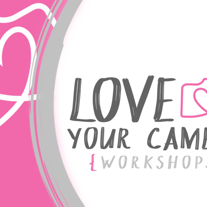 Love {and learn} Your Camera Workshops {Bridgewater Virginia}